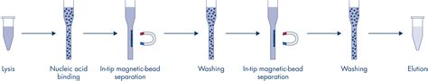 qiagen ez2|EZ2 Connect MDx .